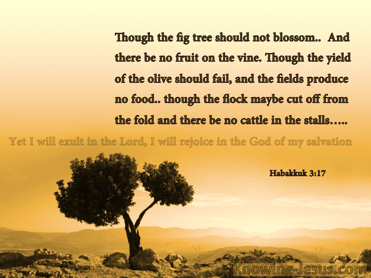Habakkuk 3:17 Though The Fig tree Should Not Blossom (brown)